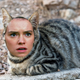 Illustration for article titled Cats That Look Like the Entire Cast of Star Wars